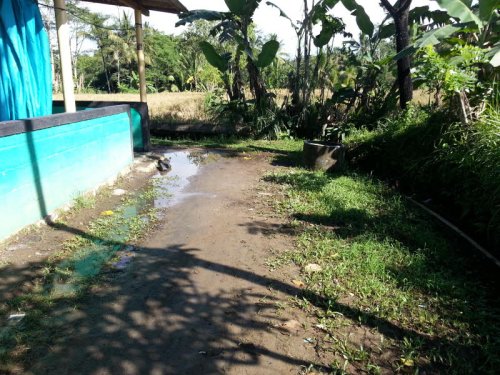 Kemah Karang Asri Kelas 5_002